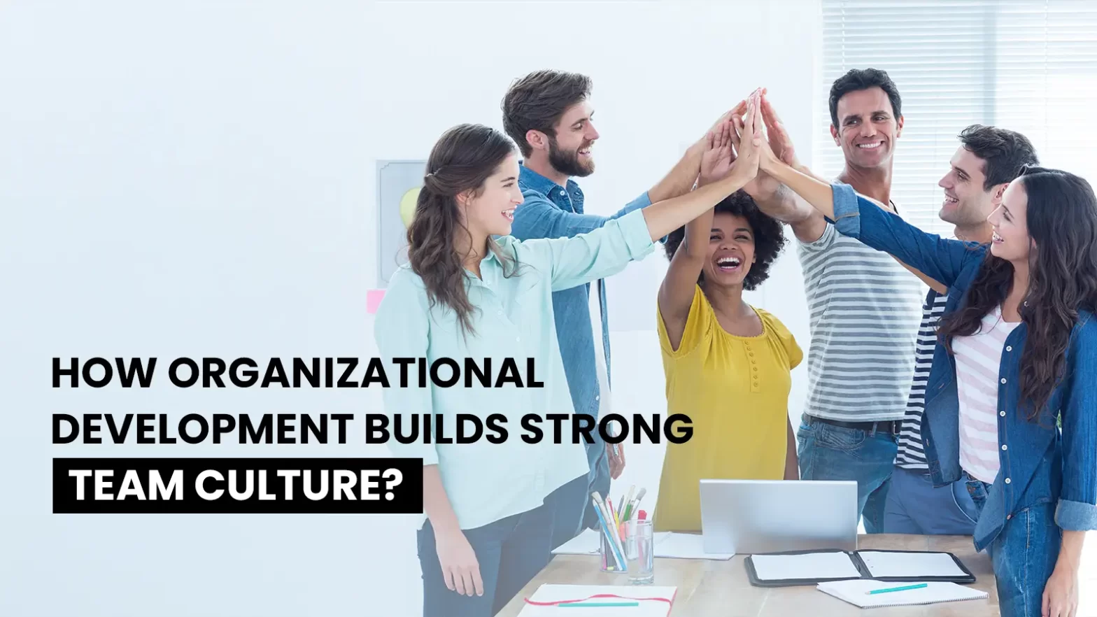 How Organisational Development Builds Strong Team Culture | Success Options