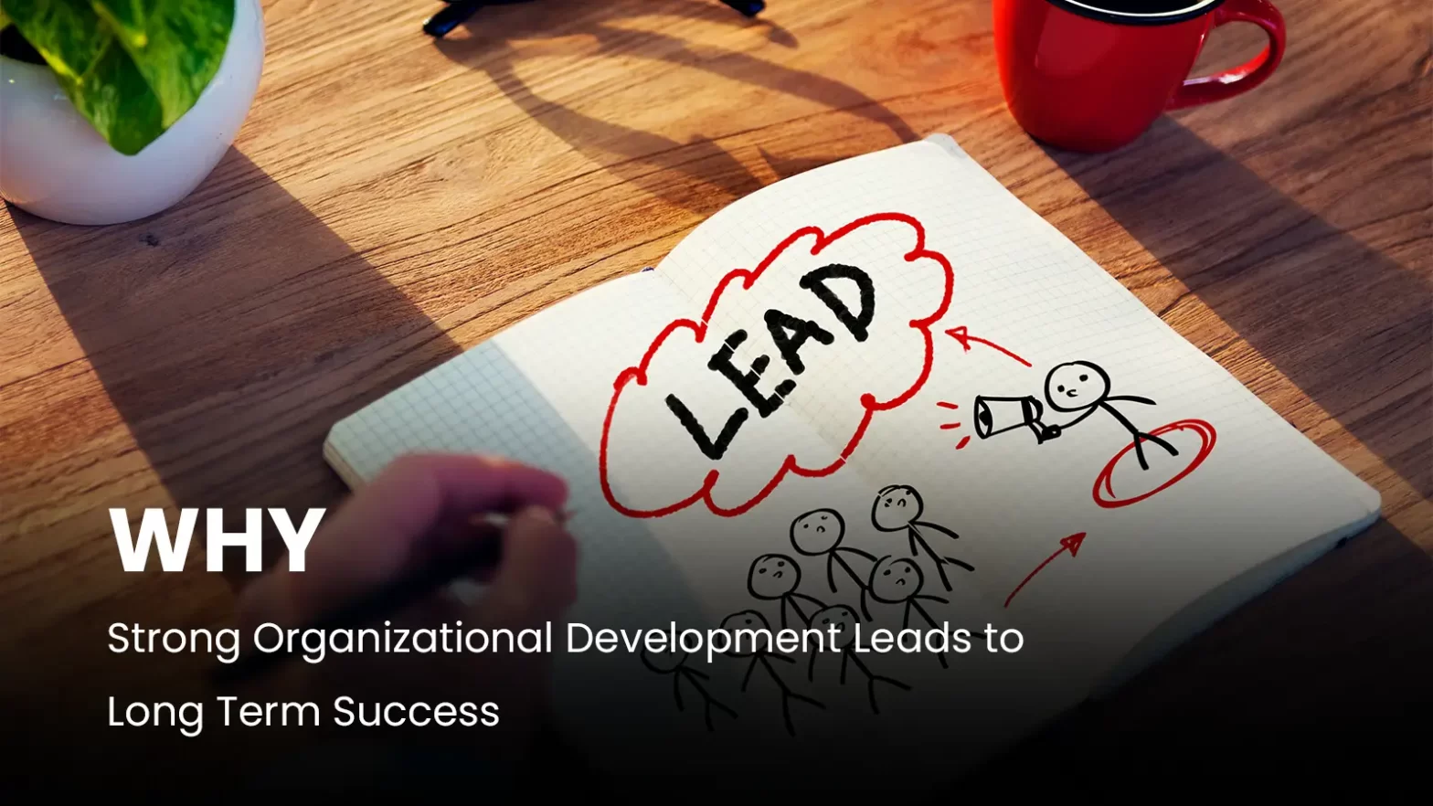 Why Strong Organisational Development Leads to Long-Term Success?
