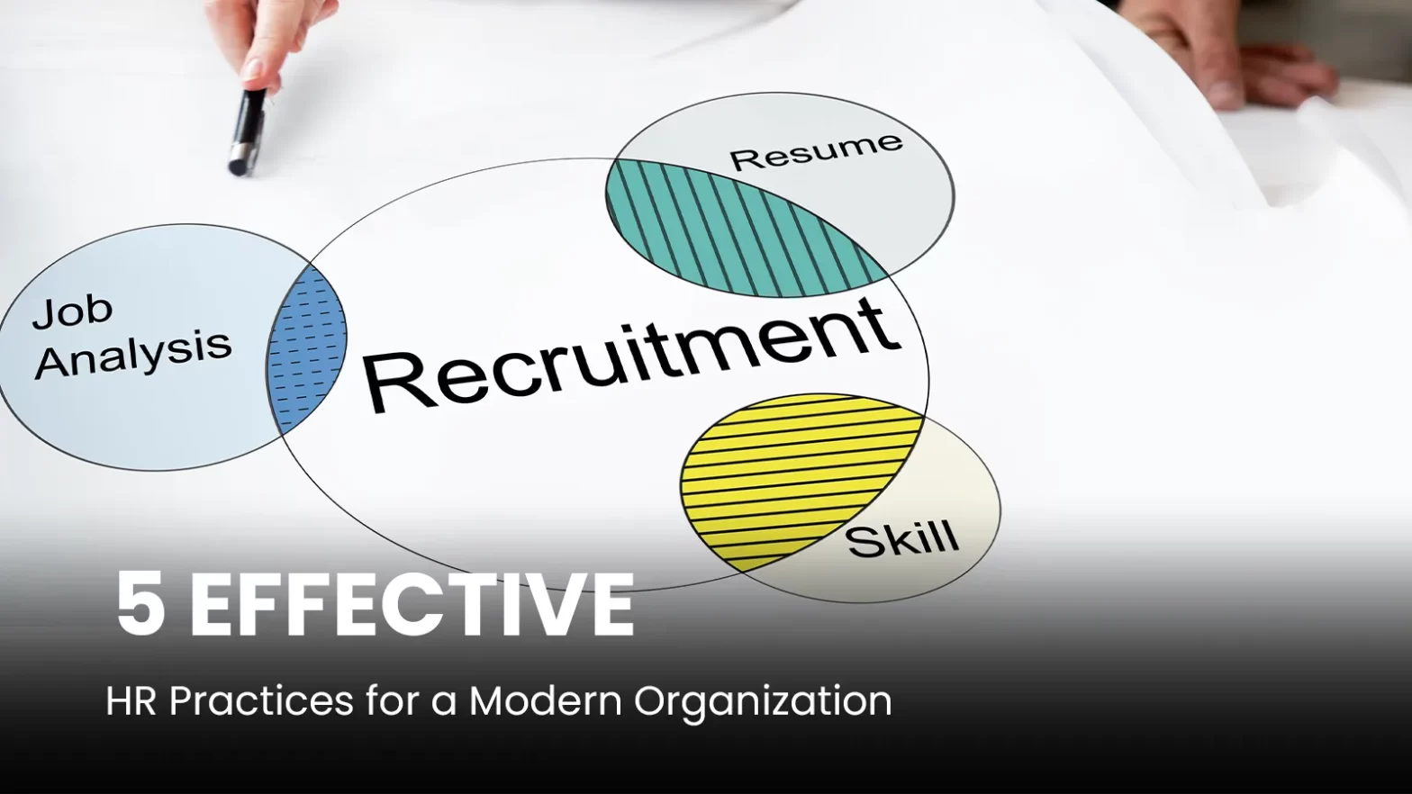 5 Effective HR Practices for a Modern Organization | Success Options
